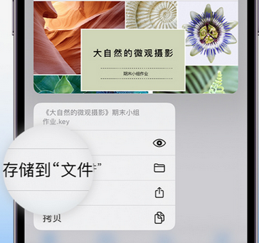 清新apple维修中心分享iPhone文件应用中存储和找到下载文件