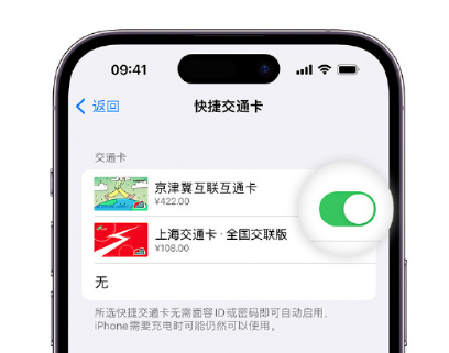 清新apple维修点分享iPhone上更换Apple Pay快捷交通卡手绘卡面 