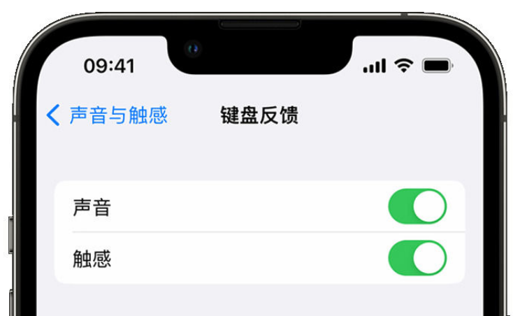 清新苹果手机维修分享iPhone 14触感键盘使用方法 