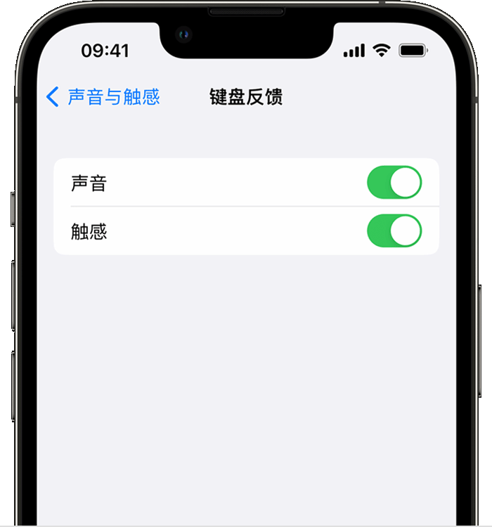 清新苹果14维修店分享如何在 iPhone 14 机型中使用触感键盘 