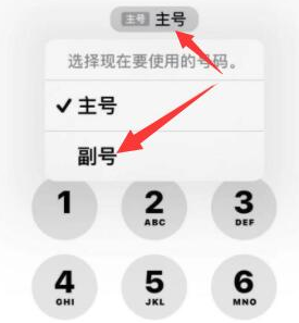 清新苹果14维修店分享iPhone 14 Pro Max使用副卡打电话的方法 