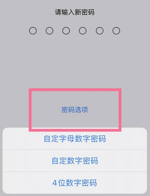 清新苹果14维修分享iPhone 14plus设置密码的方法 