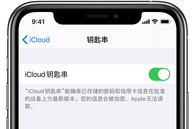 清新苹果手机维修分享在 iPhone 上开启 iCloud 钥匙串之后会储存哪些信息 