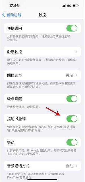 清新苹果手机维修分享iPhone手机如何设置摇一摇删除文字 