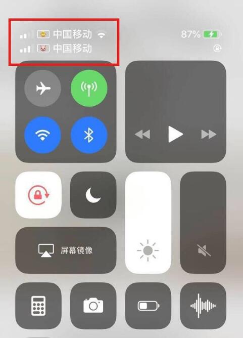 清新苹果手机维修分享为 iPhone 12 双卡设置标签 