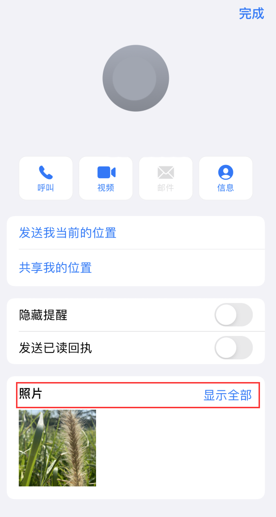 清新苹果手机维修分享如何快速查找 iMessage 信息中的图片等附件 